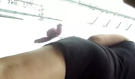 Andrea milf cô sex ko che nhat ban vú, đó là bao gồm